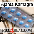 Ajanta Kamagra viagra3